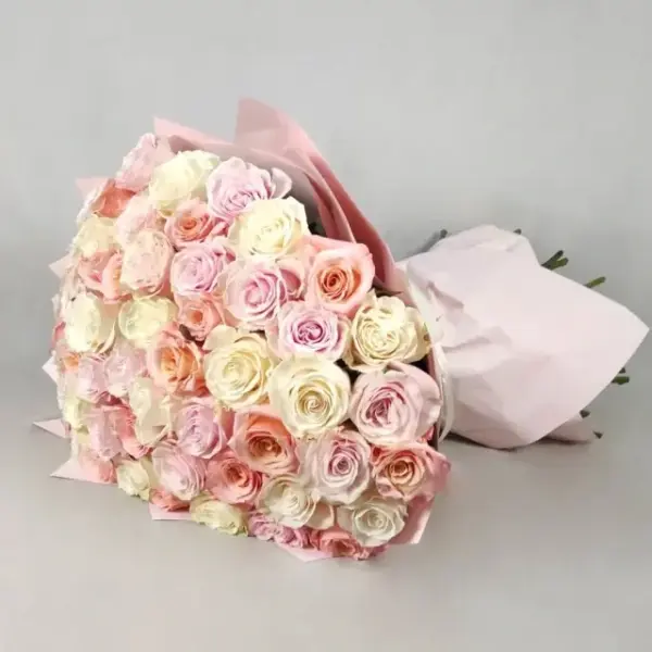 50 ნაზი სერენადა