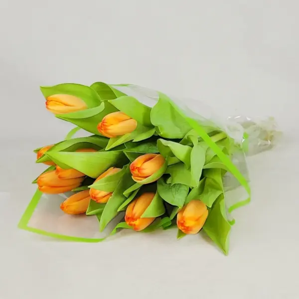 ტიტების თაიგული (10ც)