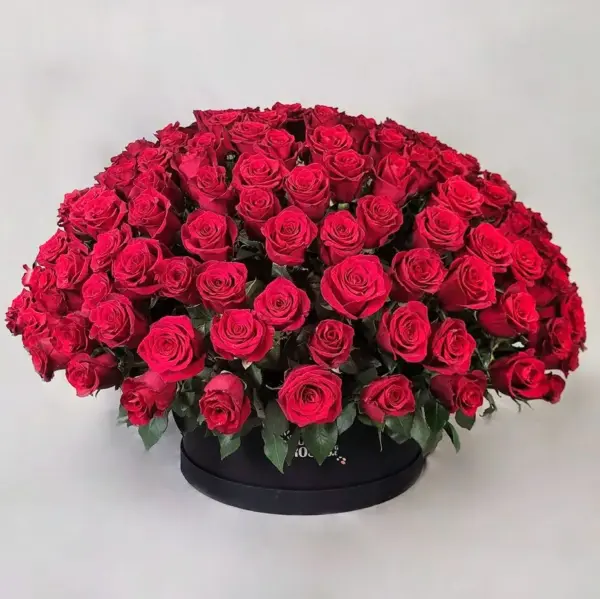 წითელი ვარდები შავ ყუთში (200ც) წითელი ვარდები შავ ყუთში (200ც)