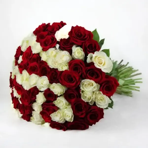 თეთრი და წითელი ვარდებისგან (80ც) თეთრი და წითელი ვარდებისგან (80ც)